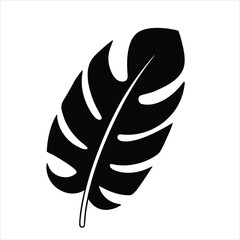 Feather vector illustration of a single feather isolated on white background with decorative and natural design elements