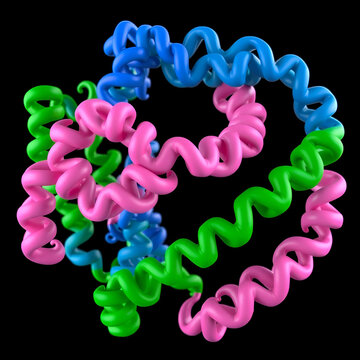 G2-mitotic-specific cyclin B1 (pink), cyclin-dependent kinase 1 (blue) and cyclin-dependent kinase regulatory subunit 2 (green) with Flavopiridol. Animated 3D models, PDB 6gu2, black background