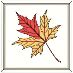 autumn leaves on white background