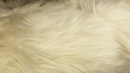 white fur background close-up. Fluffy texture