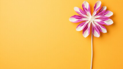 Obraz premium A decorative, pink and white flower-shaped object on an orange background.