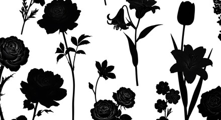 Black Floral Silhouette Illustration