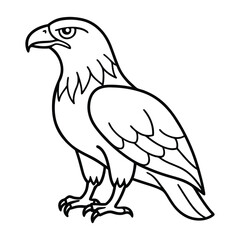 Stylized black and white outline drawing of an eagle