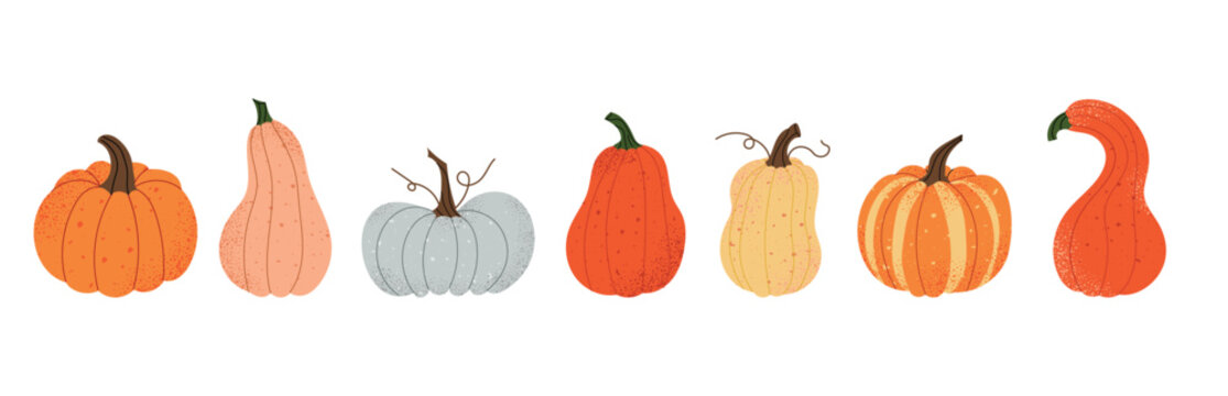Autumn pumpkins set with different squash shapes and colors. Decorative fall vegetables with textured skins. Seasonal farm harvest. Flat vector illustration isolated on white background.