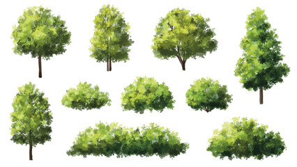  Vector watercolor green  tree or forest side view isolated on white background for landscape and architecture drawing,elements for environment or and garden,Shrub for section