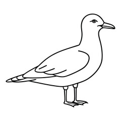 Simple line drawing of a seagull standing