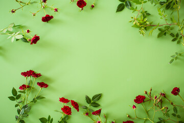 Red mini rose buds isolated on green background