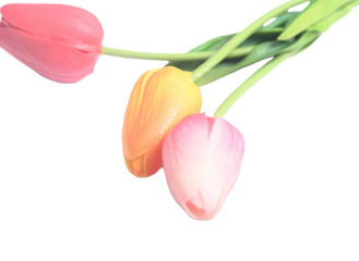 colorful easter spring flower botanical background red and pink tulips. copy space.