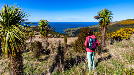 Hiker girl explores lush native forest in Hinewai Reserve, Banks Peninsula, South Island, New Zealand, walking a scenic trail with views of the Pacific Ocean and surrounded by dense green bush