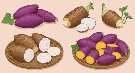 Flat Vector Illustration of Sliced Sweet Potatoes and Taro Roots on Woven Plate – Minimalist Botanical Food Art with Earthy Tubers and Creamy Interiors on Pink Beige Background