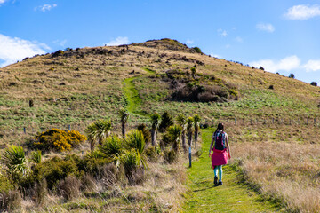 Hiker girl explores lush native forest in Hinewai Reserve, Banks Peninsula, South Island, New Zealand, walking a scenic trail with views of the Pacific Ocean and surrounded by dense green bush