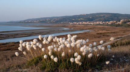 ethereal view of coastal wetland in san marino at soft twilight captured from above