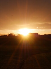 The sun is setting in the sky, casting a warm glow over the grassy field