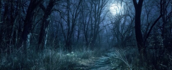 Obraz premium The tranquil forest path illuminated by moonlight on a serene night.