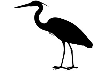 Obraz premium Elegant heron bird wildlife animal nature vector graphic silhouette vector illustration