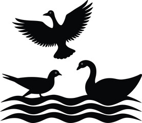 Obraz premium Bird Silhouettes Bundle Flying, Swimming, and Standing Avian Vector Art Collection.