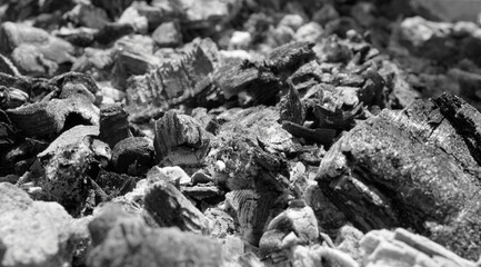 Charcoal in the sunlight after a barbecue
