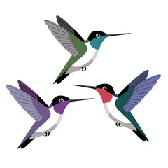 Obraz premium Three Hummingbirds in Flight Colorful Bird Illustration.