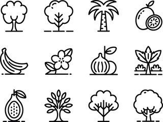 Collection of tropical fruit and tree icons in a simple line art style