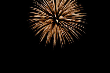 Fototapeta premium fireworks in the night sky
