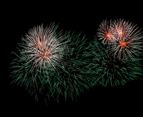 Fototapeta premium fireworks in the night sky