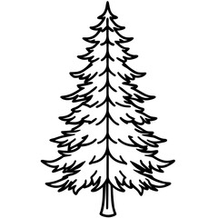 Single Evergreen Outline – Clean Vector