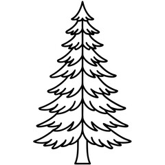 Single Evergreen Outline – Clean Vector