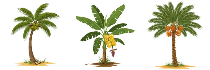 Fototapeta premium Set Tropical Palm Tree Illustrations for travel promotions, hospitality industry, and thematic designs to evoke a vacation atmosphere 