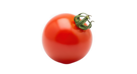 Single roma tomato with green stem on black background