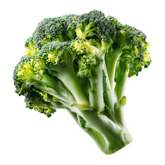 Floret of broccoli isolated 
