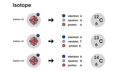 Three isotopes of carbon Carbon-12, Carbon-13, and Carbon-14 share the same number of protons and electrons but differ in neutron count, illustrating atomic variation in stable and radioactive forms