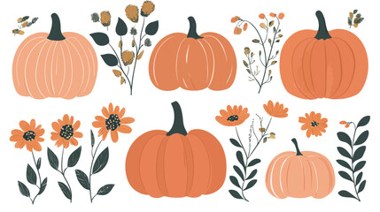 Vector Pumpkins and Flowers Set &ndash; Autumn Harvest Floral Elements Vector Graphic