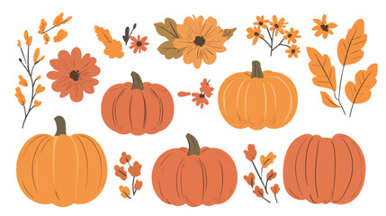 Vector Pumpkins and Flowers Set &ndash; Autumn Harvest Floral Elements Vector Graphic