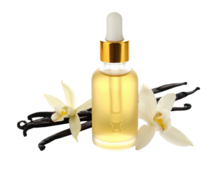 Vanilla beans and extract bottle on white background png