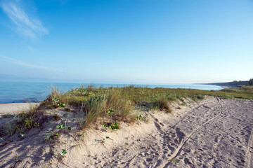 Blue Baltic sea in still summer morning.