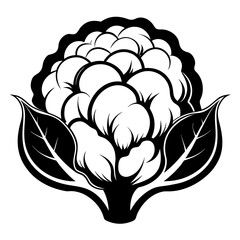 cauliflower black and white vector