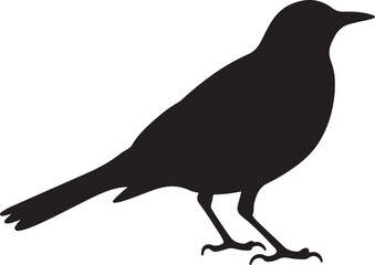 Obraz premium Soaring Bird Silhouette Collection for Print and Cut Files