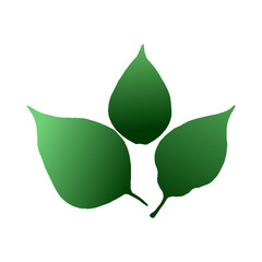 Green Leaf Vector