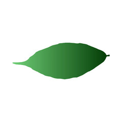 Green Leaf Vector