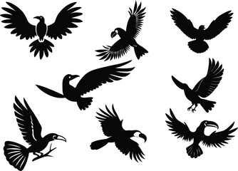 Fototapeta premium Exotic jungle birds collection featuring diverse species in a distinctive silhouette style