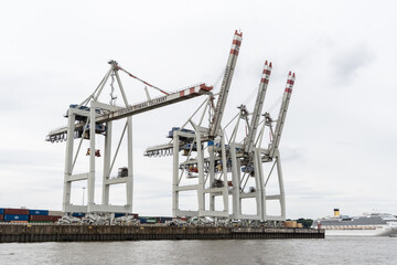 big cranes in the harbour of Hamburg Germany