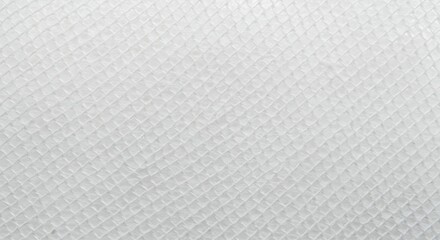 Close-up Abstract White Snake Skin Pattern for Fashion or Exotic Background