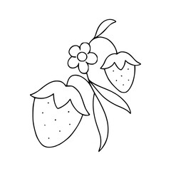 sweet strawberry doodle art