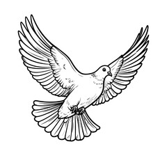 Obraz premium Elegant black and white line art illustration of a flying dove with spread wings.