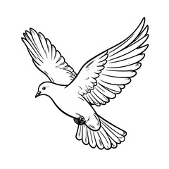Obraz premium Line Art Drawing of a Dove in Flight, Wings Spread Wide, Detailed Feathers