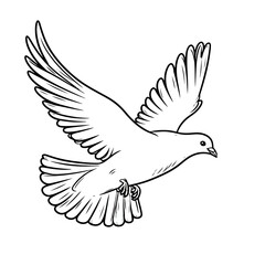 Obraz premium Line Art Drawing of a Dove in Flight, Wings Spread Wide, Detailed Feathers