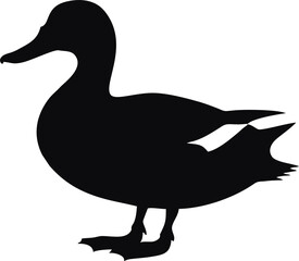 A solid black silhouette of a duck with webbed feet, standing in profile on a white background.