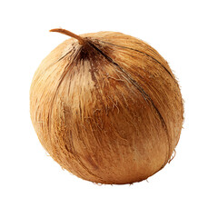 Whole brown coconut isolated on black background
