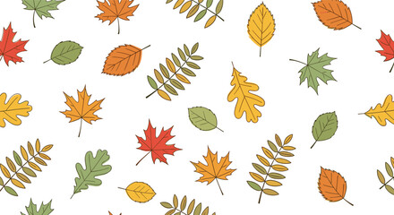 Obraz premium A vibrant collection of autumn leaves displayed against a clean white background