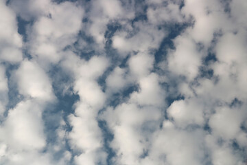 Altocumulus Cloud Formation in a Summer Sky